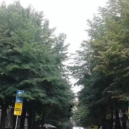 4rooms 4u Konukevi Belgrad